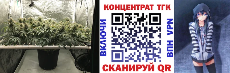 где купить   Черняховск  ТГК вейп с тгк 